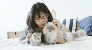 cats