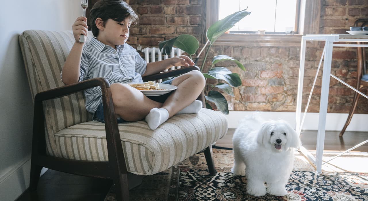 dog